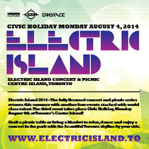 Electric Island 2014 | justaweemusicblog.com