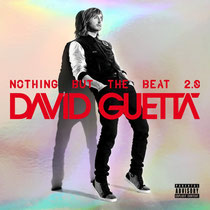 David Guetta | Nothing But The Beat 2