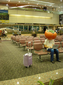 空港にはこの人形がたくさんいました。
