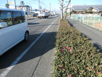 自転車道の段差