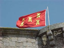 Tennessus Poitou Flag