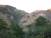 Vue de la montagne où est produit le café