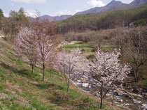桃源郷のような山里の春
