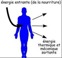 schéma de la circulation de l'énergie