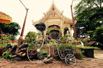 Fahrradtour Ayutthaya