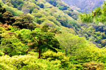 峡谷に聳え立つ　フォトBy白鳥保美