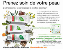 spray emergency aloe vera indispensable pour les coups de soleil