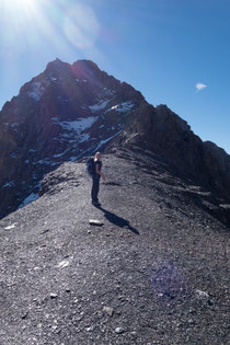 Ferdenrothorn, Nordgrat, Balmhorn, Gitzifurggu, Lötschenpass, Lötschenpasshütte