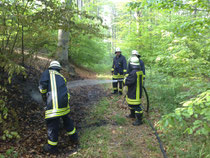 Feuer im Wald