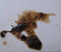 Kaffeeflecken Im Teppich Entfernen Diese Hausmitteln Helfen
