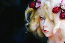 Barbara Cortili/shimizu mari doll