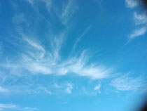 今朝は、羽根雲が綺麗☆