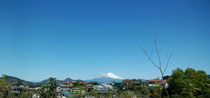 ご近所からの富士山🗻