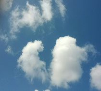ハートの形をした雲だったのに・・