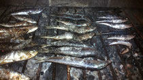 Barbacoa de sardinas en Tossa de Mar