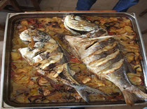 Alquiler de vacaciones en cala Llevado - Pescado al horno