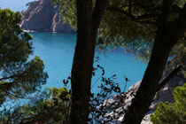 Vistas de las calas en Santa María de Llorell