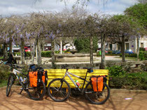 Bicicletas en un parque de Monçao