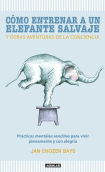 “En forma brillante, elegante y práctica, Bays ha respondido la pregunta más frecuente de los estudiantes de meditación: ‘¿Cómo incorporo esta práctica en mi vida diaria?’ 