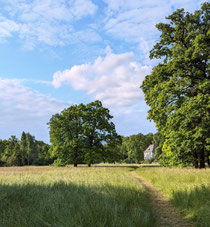 ...in der Abendsonne durch die Wiesen zu Goethes Gartenhaus 