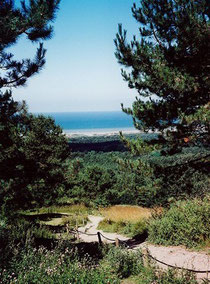 Sentier du mont St Frieux et panorama - côte d'Opale, Pas de Calais