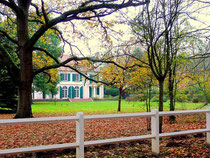 L'harmonie est préservée entre les villas et la forêt