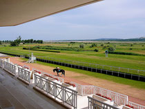 Hippodrome du Touquet : la vue depuis la grande tribune