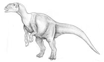 Bild eines Hadrosaurus