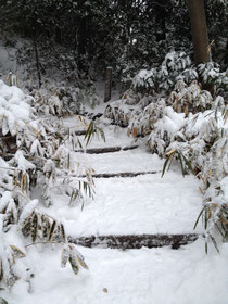 雪の六義園 藤代峠