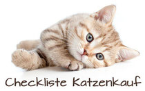 Checkliste Katzenkauf, Bildquelle: fotolia.com