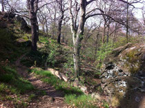 MTB-Tour bei Blankenburg
