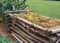 JUDY WHITE/GARDENPHOTOS.COM