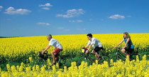 weitere Radwege und -routen