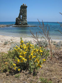 Tour de Santa Maria
