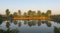 bei Rabahidveg
