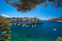 On Friday, visit to the "calanques"