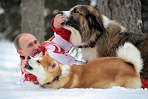画像:プーチンさんも犬好き