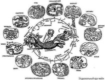 Зодиакальный круг майя