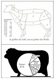 Einteilung der Wollpartien des Vlieses in Qualitäten