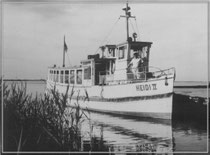 MS "Heidi II" ex MS "Roland" 1970