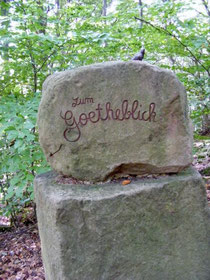 Hinweisstein zum Goetheblick