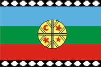 Bandera mapuche