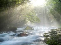 River flowing fast over rocks with sunlight streaming down through trees