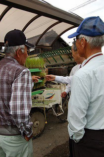 育苗話で盛り上がる。来場者のみの役得です♪