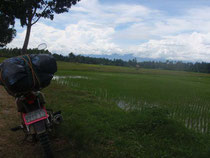 Reisfelder vor Mukas