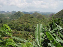 Die Choccolate Hills auf Negros