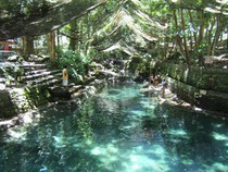 Ardent Hot Springs