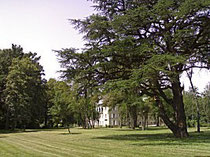 Vue du parc