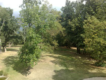 Vue sur le parc