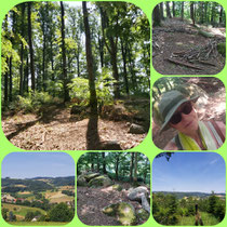 Naturcoaching im Odenwald 6/2025